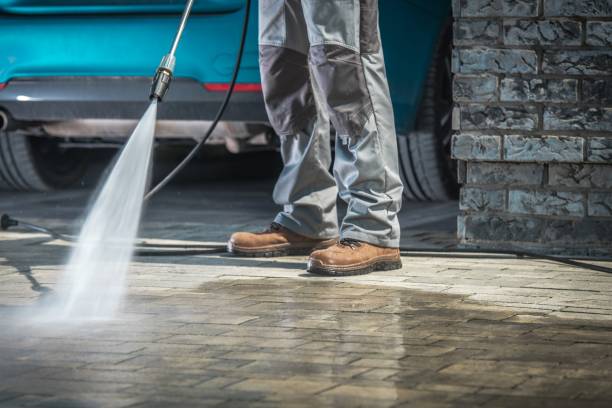 Best Gutter Cleaning  in Buffalo, NY